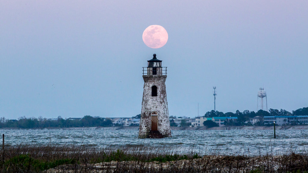 Fort Pulaski and Cockspur Island